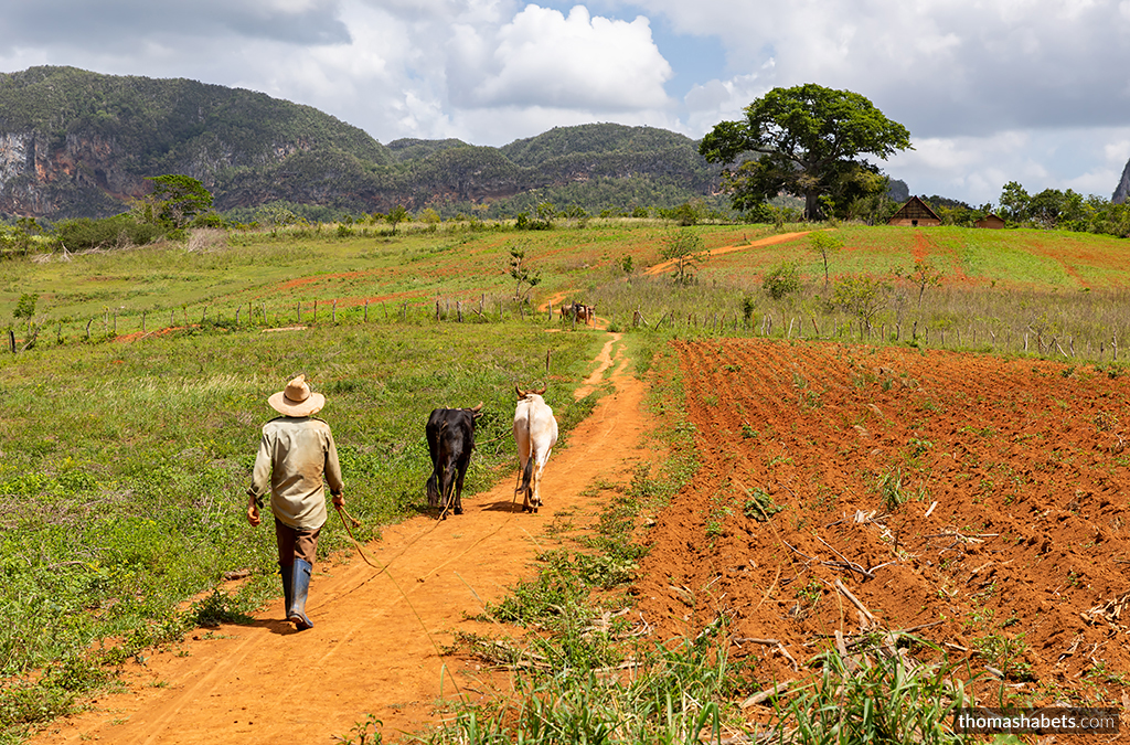 Cuba Vinales