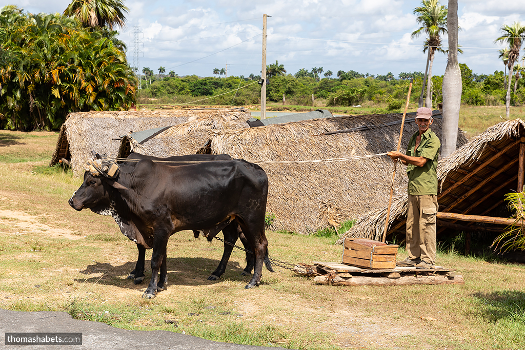 Viñales Cuba