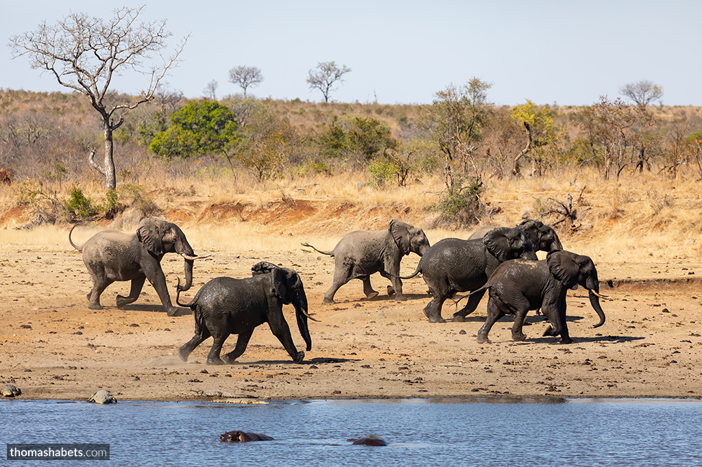 South Africa