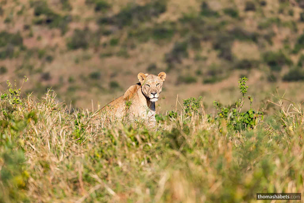 South Africa