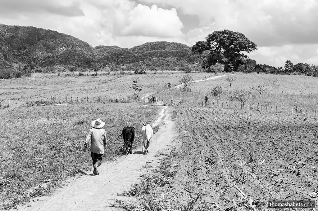 Viñales Cuba