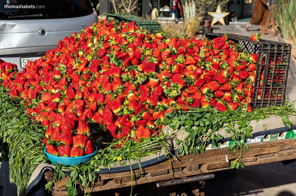 Marrakesh