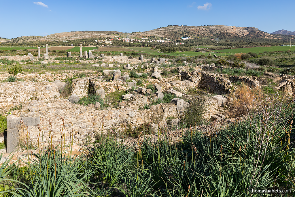 Volubilis